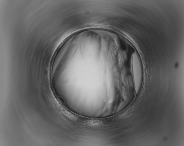 X0000116161291200912141212