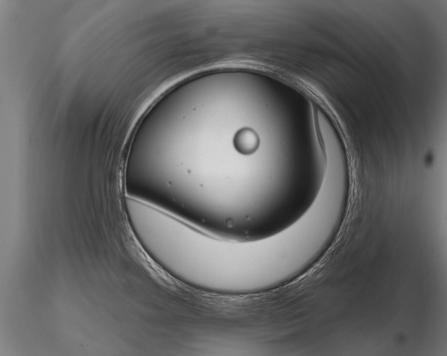 X0000116161292200912141212