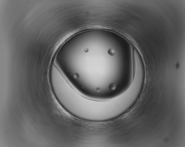 X0000116161293200912141212