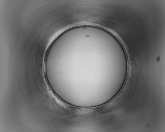 X0000116161294200912141212