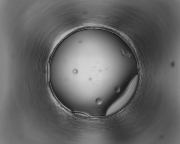 X0000116161295200912141212