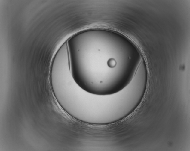 X0000116161296200912141212