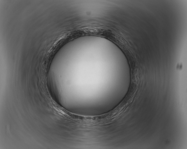 X0000116161297200912141211