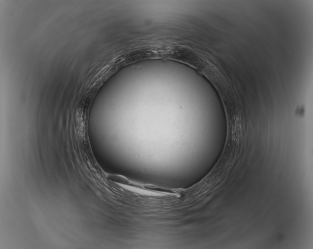 X0000116161298200912141211