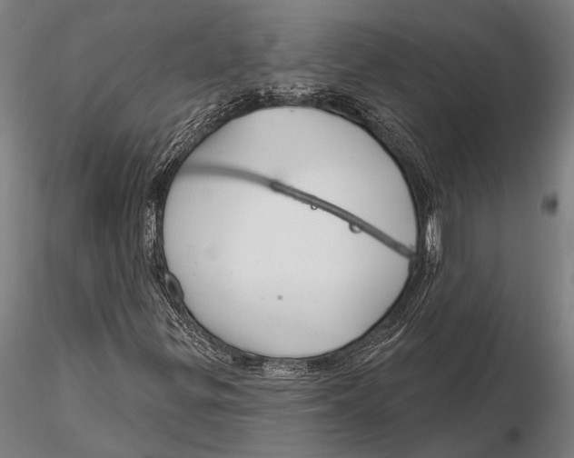 X0000116161299200912141211