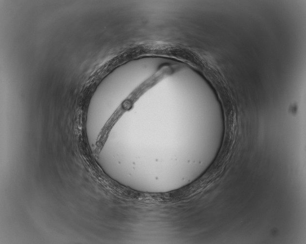 X0000116161301200912141211