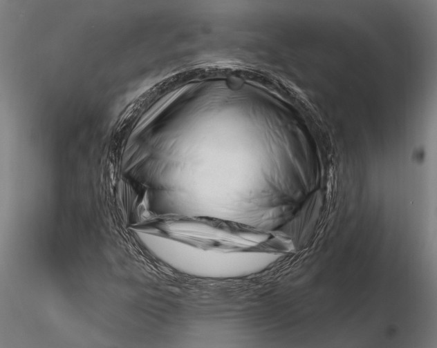 X0000116161303200912141211