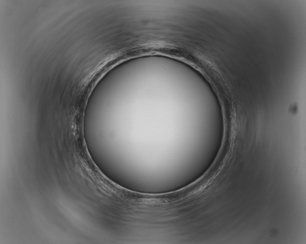 X0000116161305200912141211