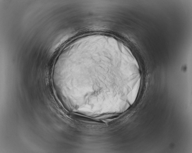 X0000116161306200912141211