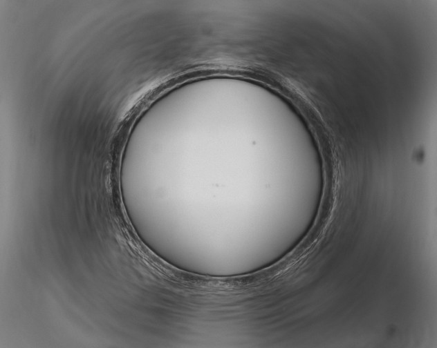 X0000116161307200912141211