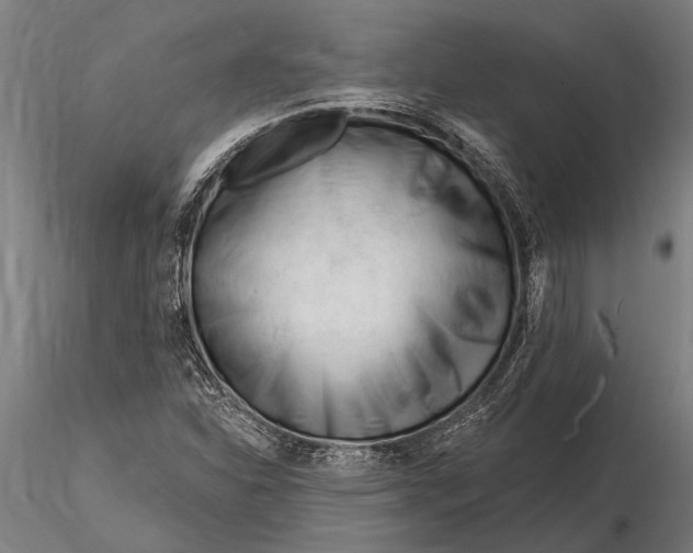 X0000116161310200912141212