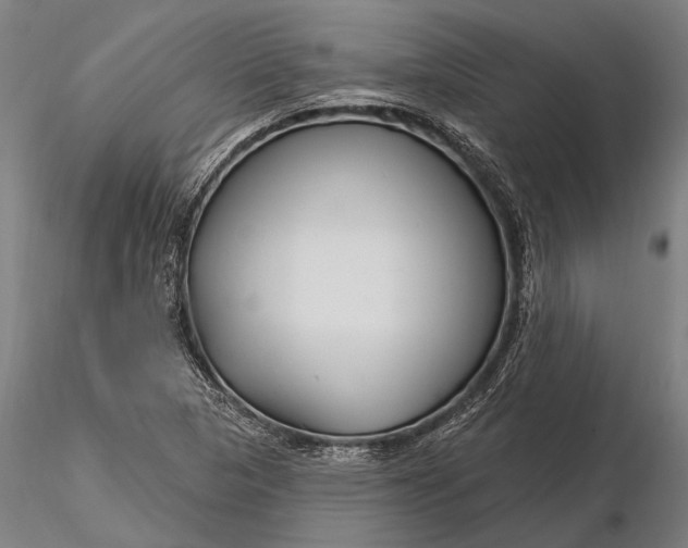 X0000116161313200912141212