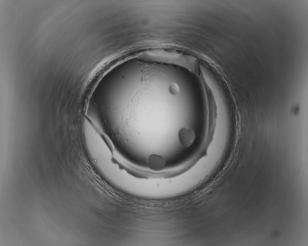 X0000116161314200912141212