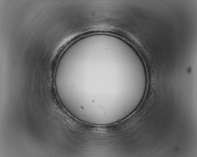 X0000116161315200912141212