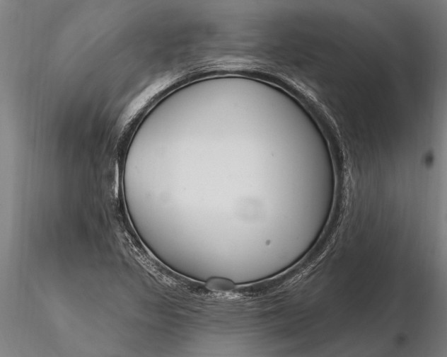 X0000116161317200912141212