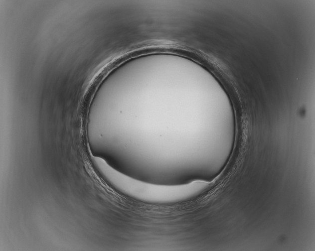 X0000116161318200912141212
