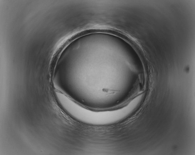 X0000116161319200912141212