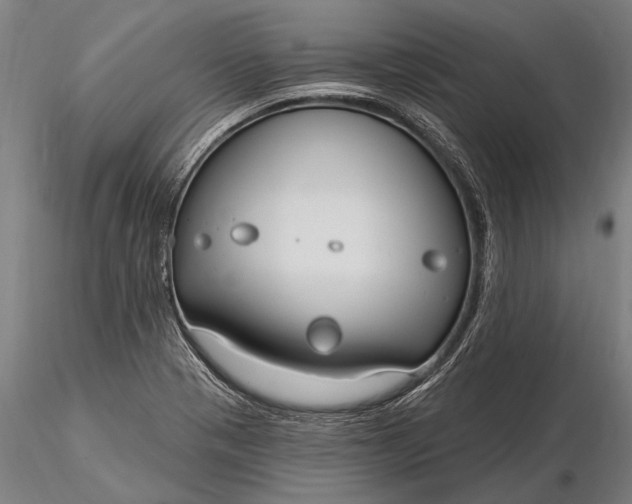 X0000116161321200912141212