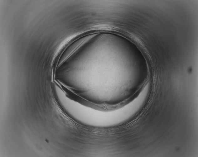 X0000116161323200912141212