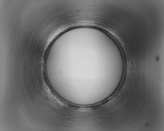 X0000116161325200912141212