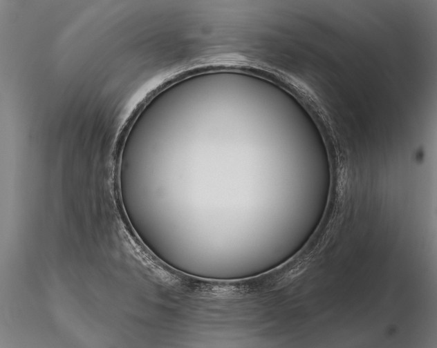 X0000116161326200912141212