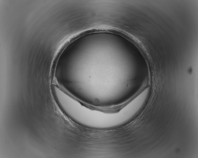 X0000116161327200912141212
