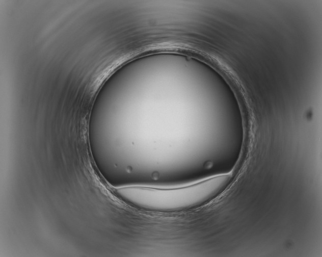 X0000116161329200912141212