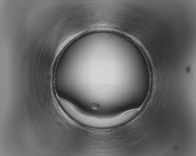 X0000116161333200912141212