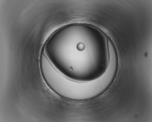 X0000116161334200912141212