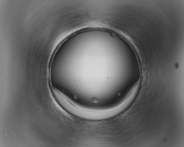 X0000116161335200912141212