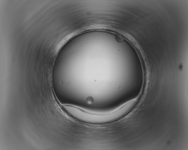 X0000116161337200912141212