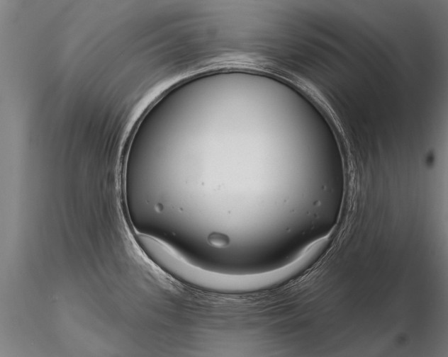 X0000116161339200912141212