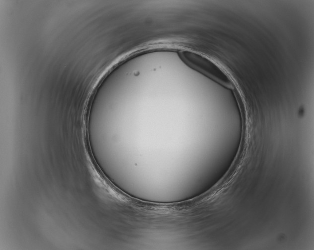 X0000116161341200912141212