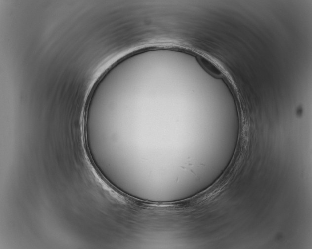 X0000116161343200912141212