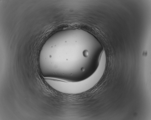 X0000116161345200912141211