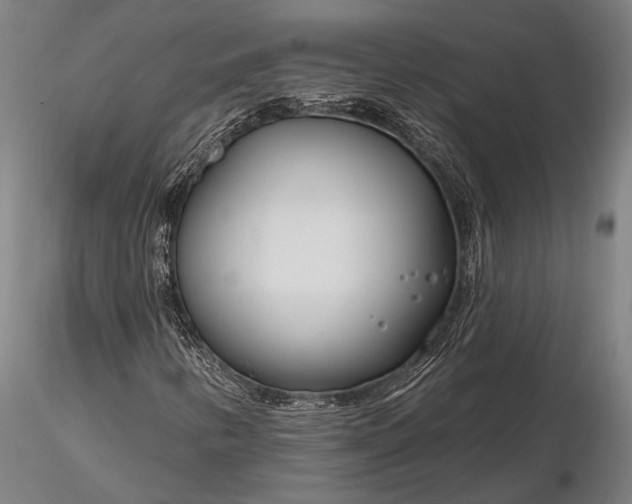 X0000116161346200912141211