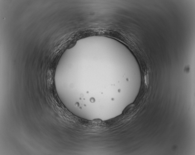 X0000116161347200912141211