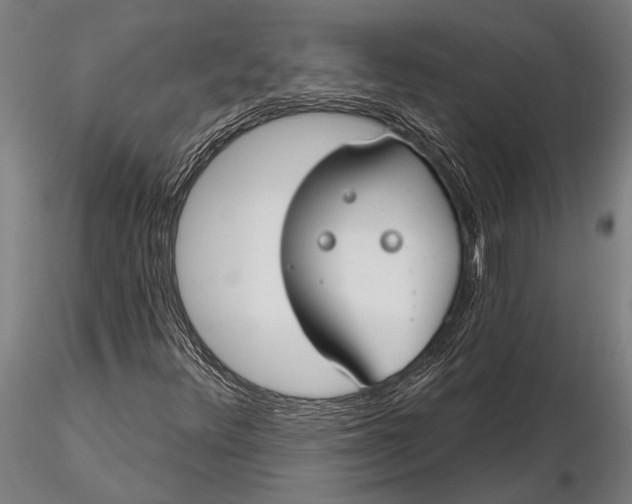 X0000116161348200912141211