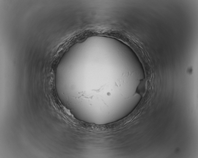 X0000116161349200912141211