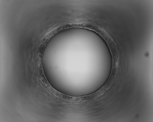 X0000116161350200912141211
