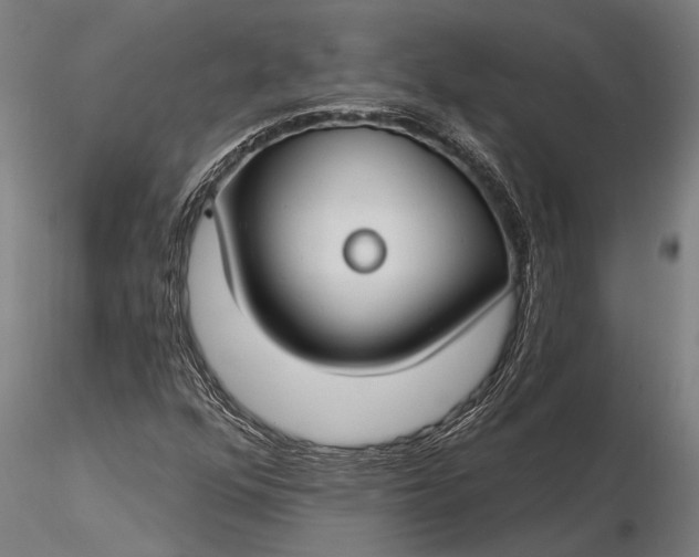 X0000116161352200912141211