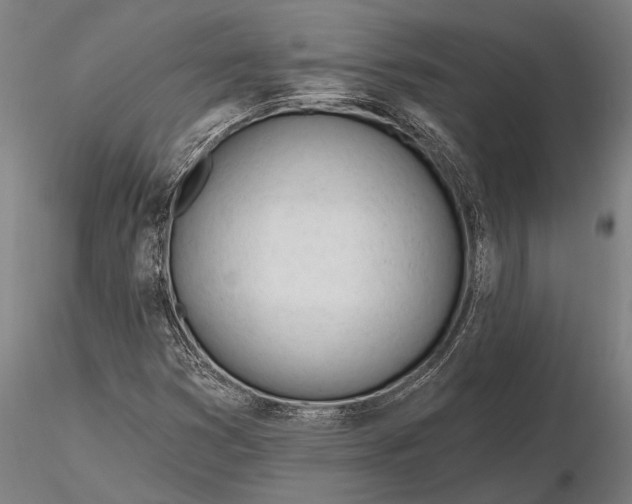 X0000116161353200912141211