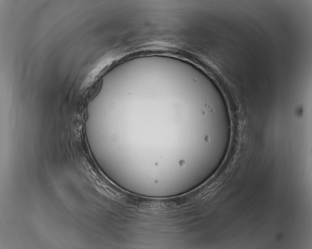 X0000116161355200912141211