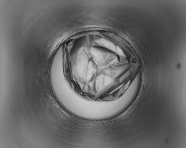 X0000116161357200912141211