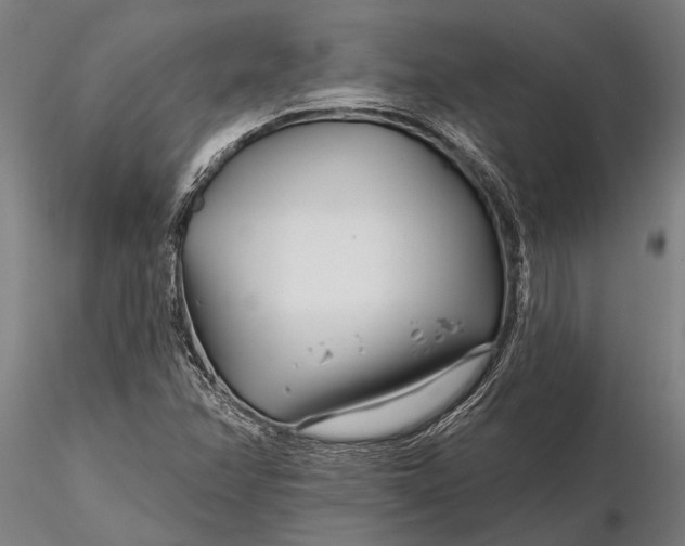 X0000116161358200912141211