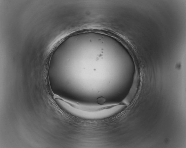 X0000116161359200912141211