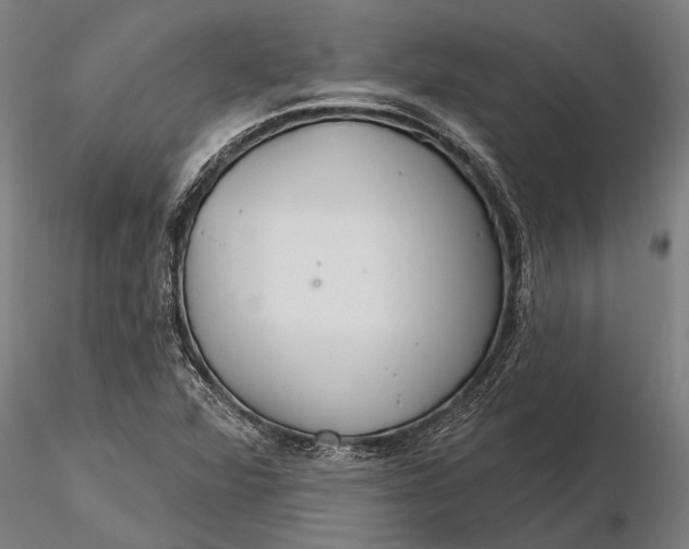 X0000116161360200912141211