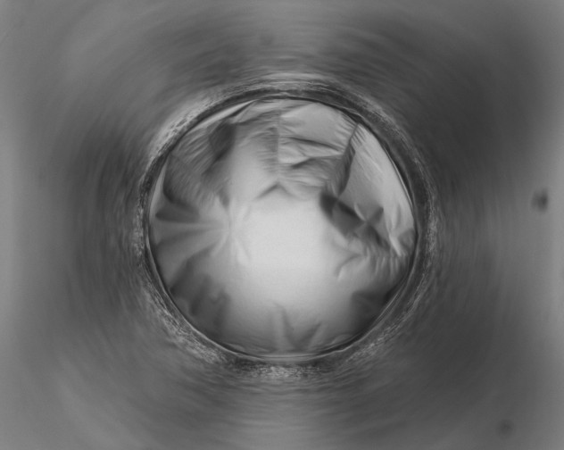 X0000116161362200912141211