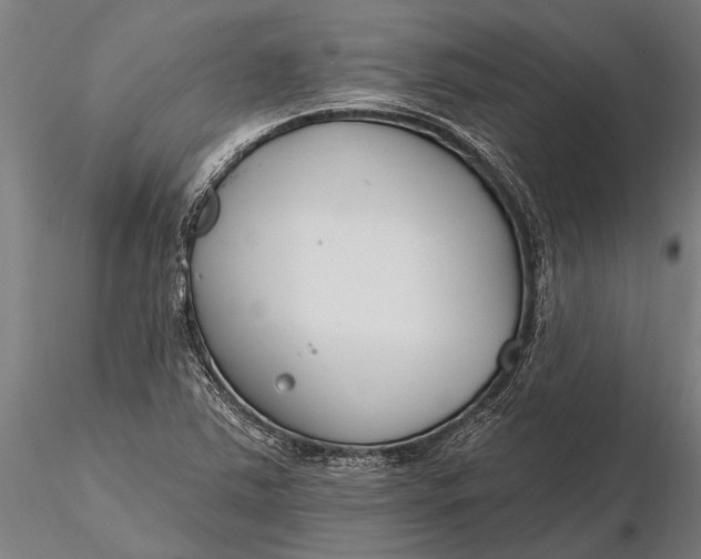X0000116161363200912141211