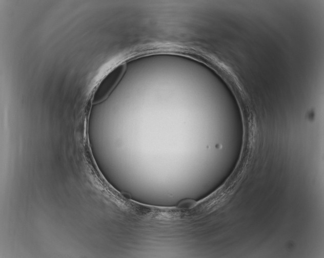 X0000116161365200912141211